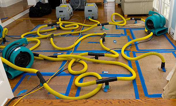 Professional Water Damage Restoration technician working in Zachary, LA